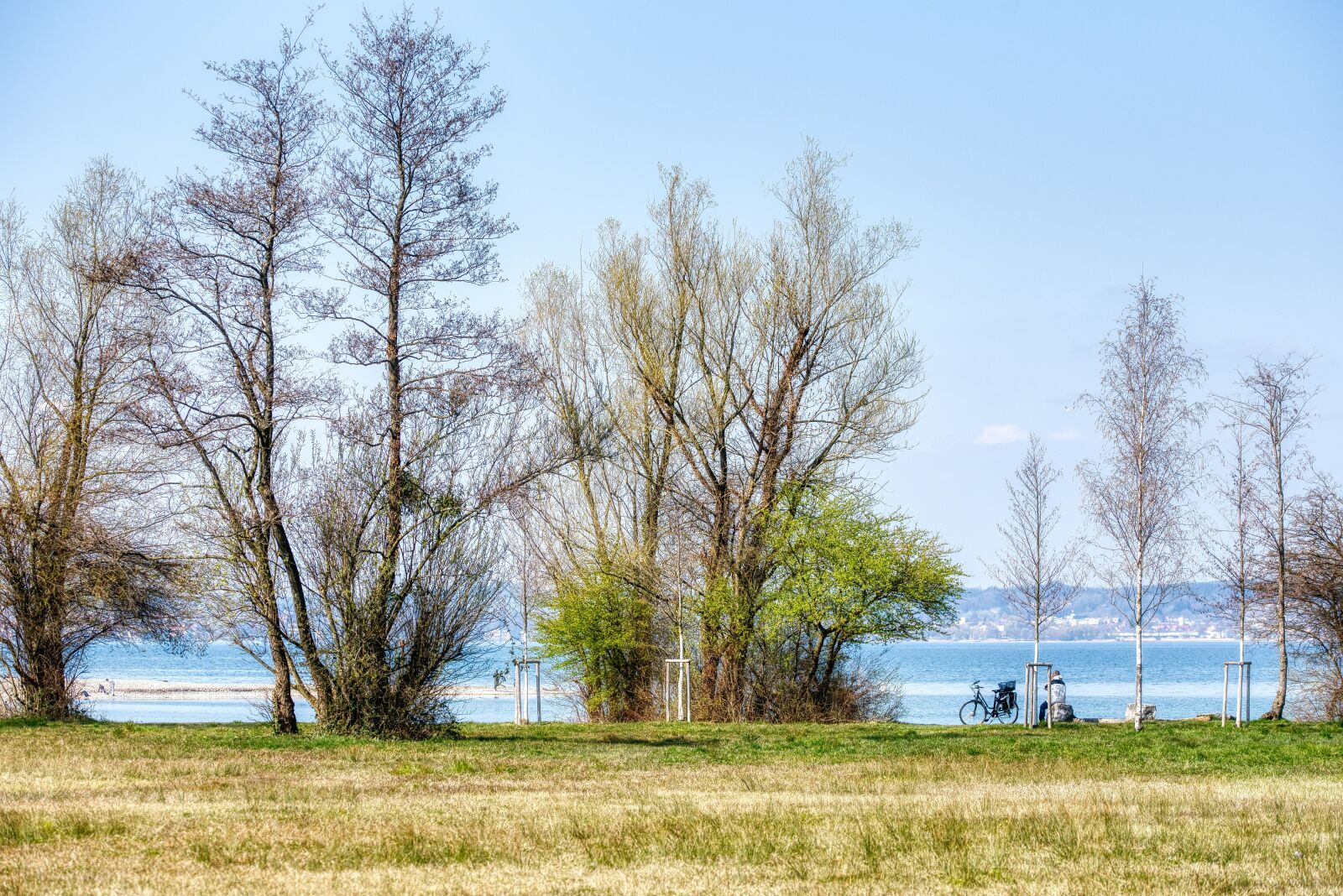 Nikon D750 sample photo. Lake constance, lakeside, trees photography