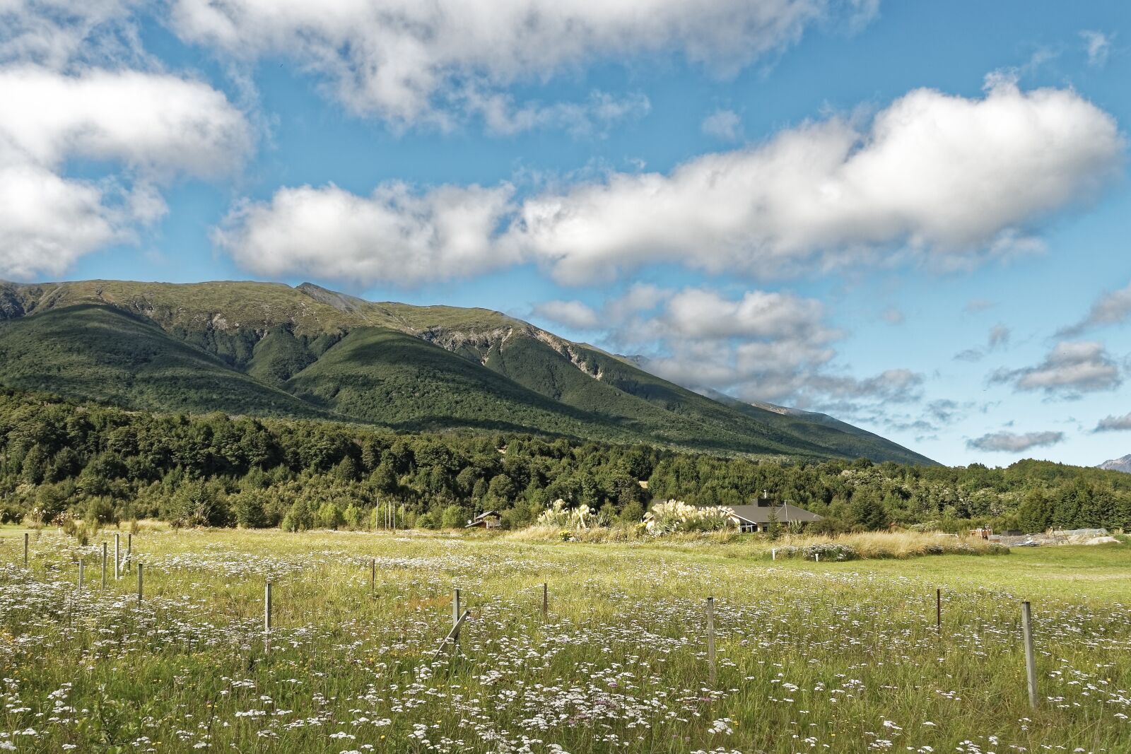 Nikon D500 sample photo. New zealand, mount richmond photography