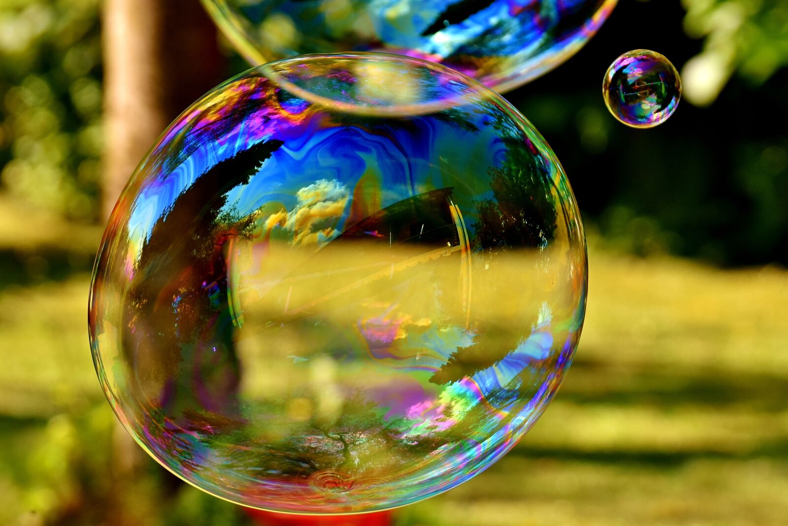 Nikon D7200 sample photo. Soap bubble, huge, large photography