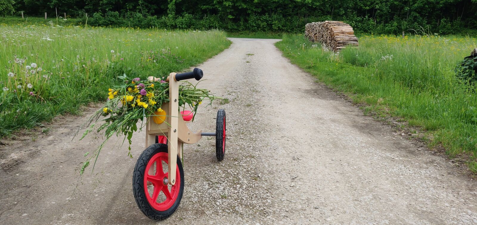 OnePlus 6 sample photo. Spring, bike, summer photography