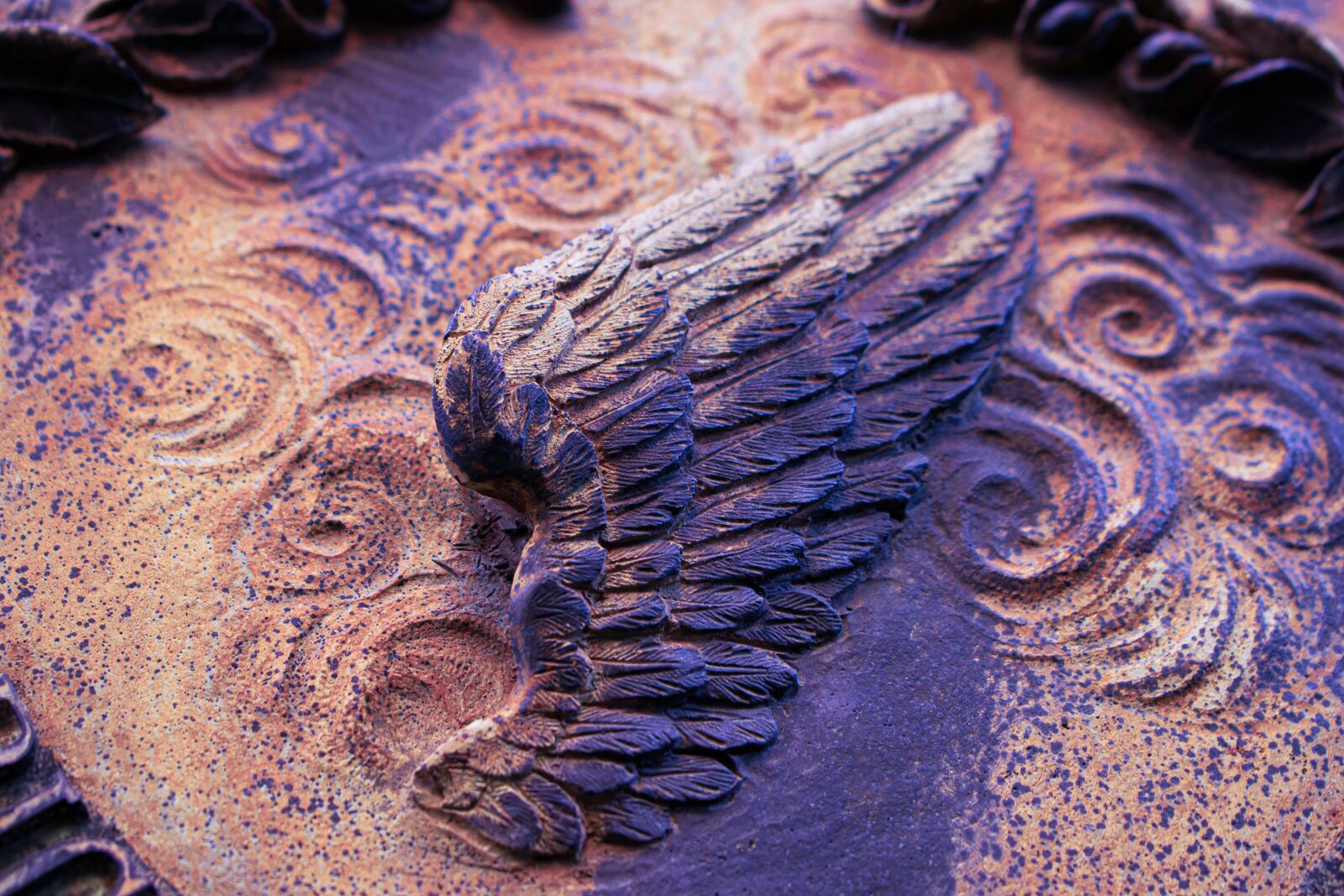 Nikon D3300 sample photo. Wings, texture, design photography