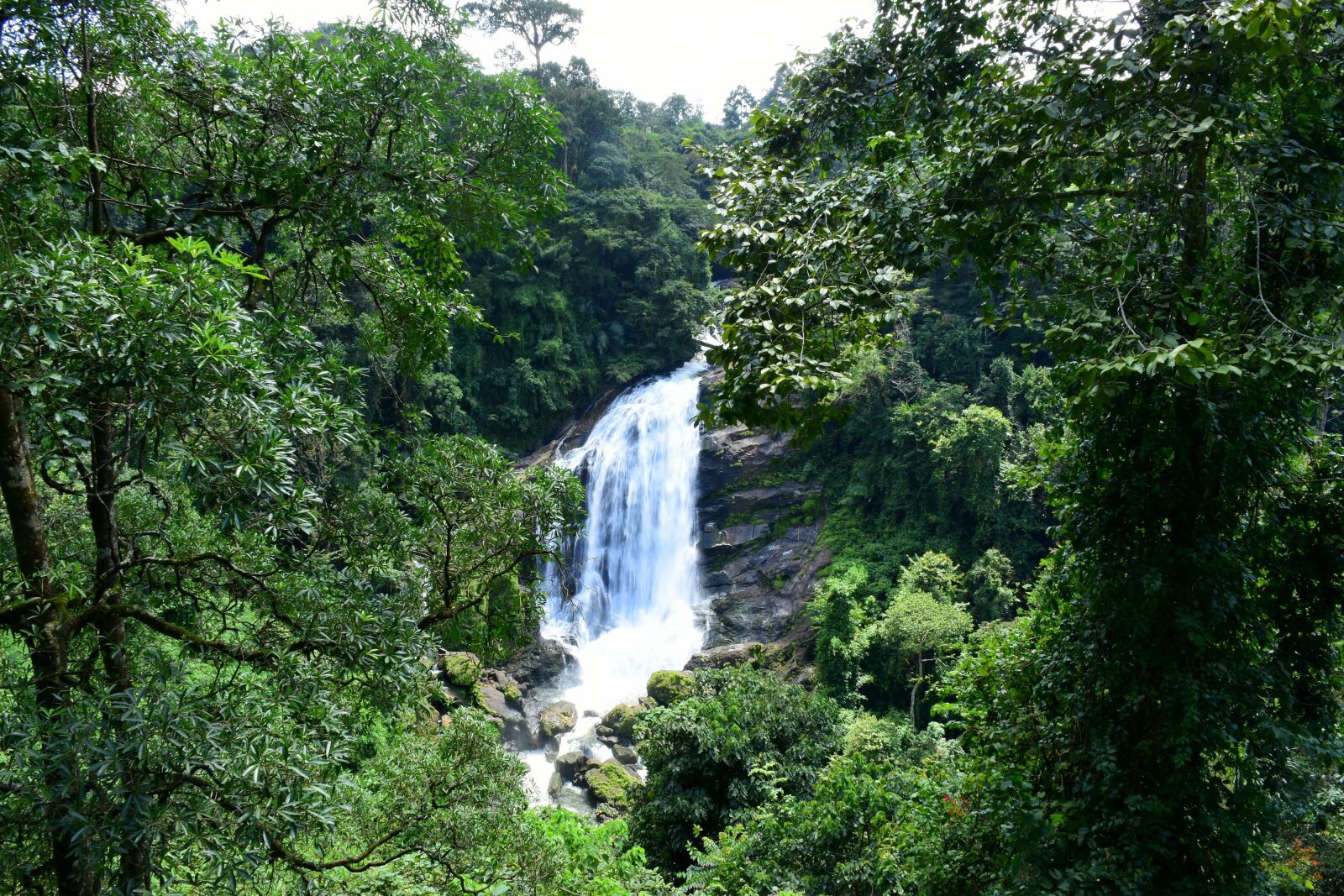 Nikon D5500 sample photo. Waterfall, india, forest photography