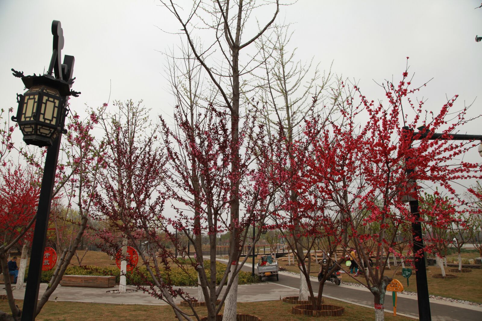 Canon EOS 5D Mark II sample photo. City park, chinese new photography