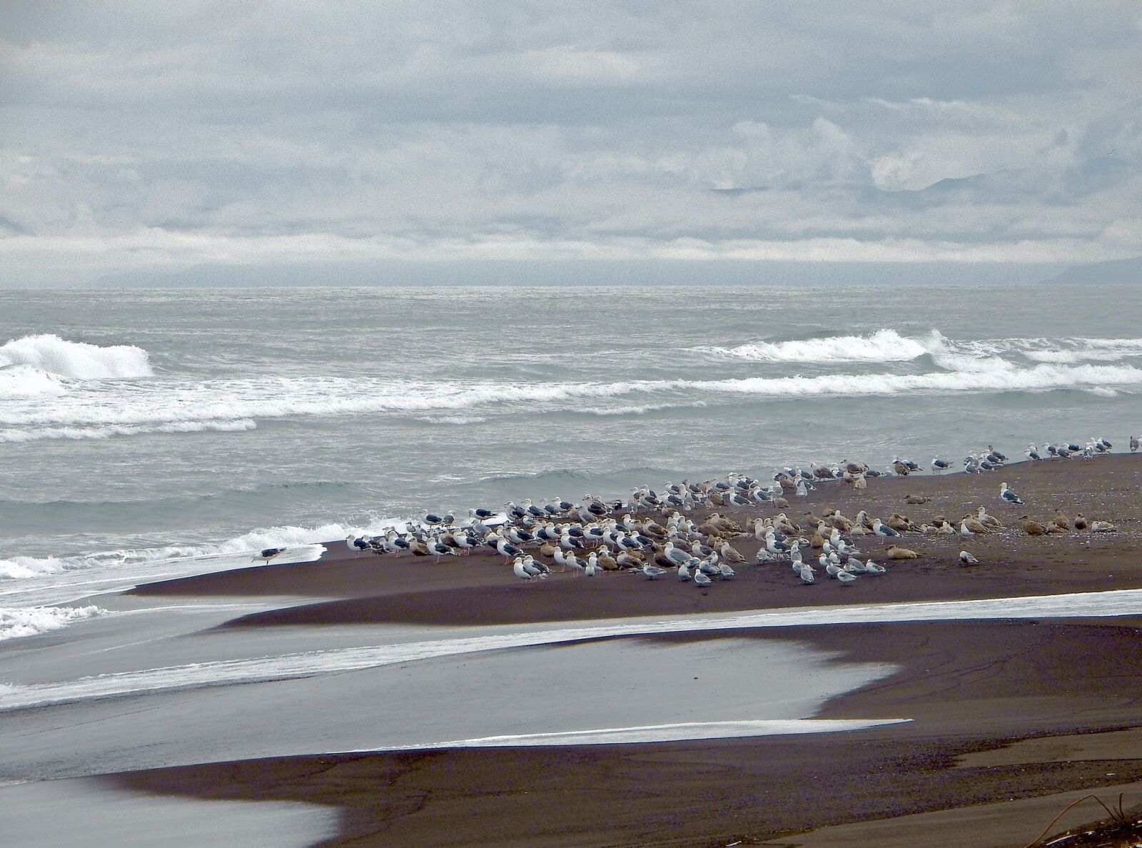 Fujifilm FinePix S1 sample photo. The pacific ocean, wave photography