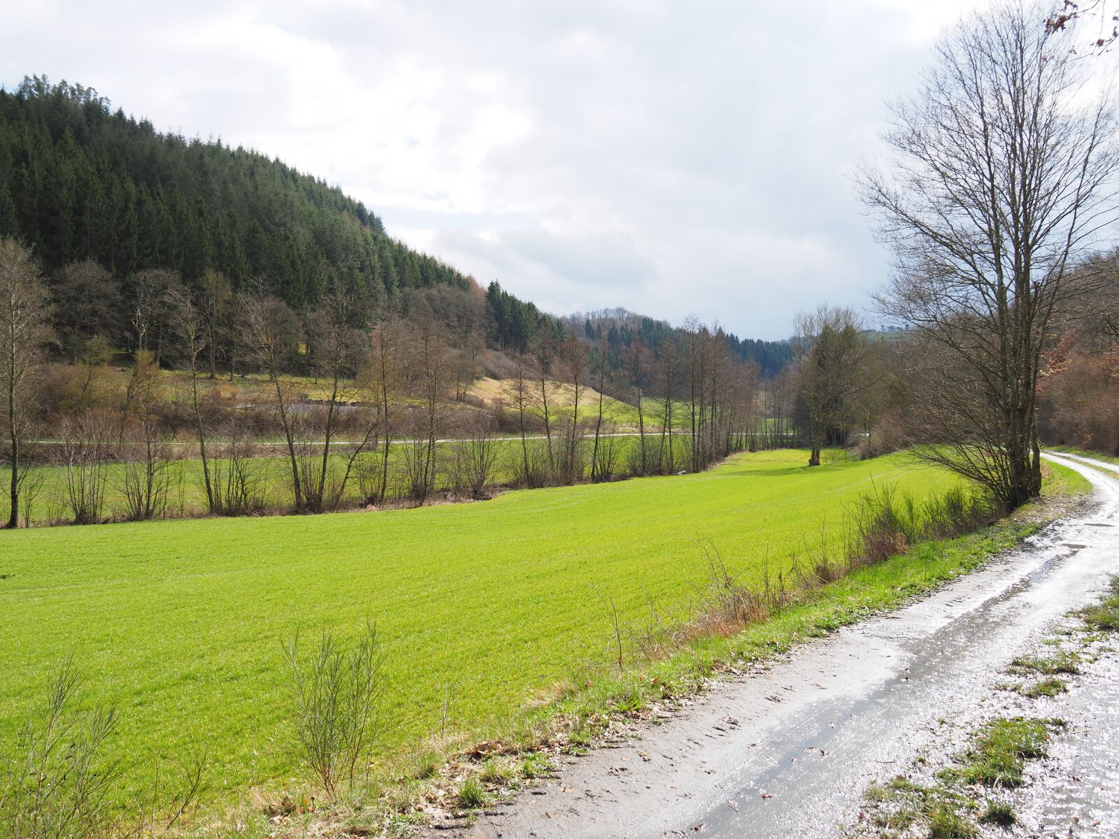 Olympus OM-D E-M10 II sample photo. Spring, meadow, green photography