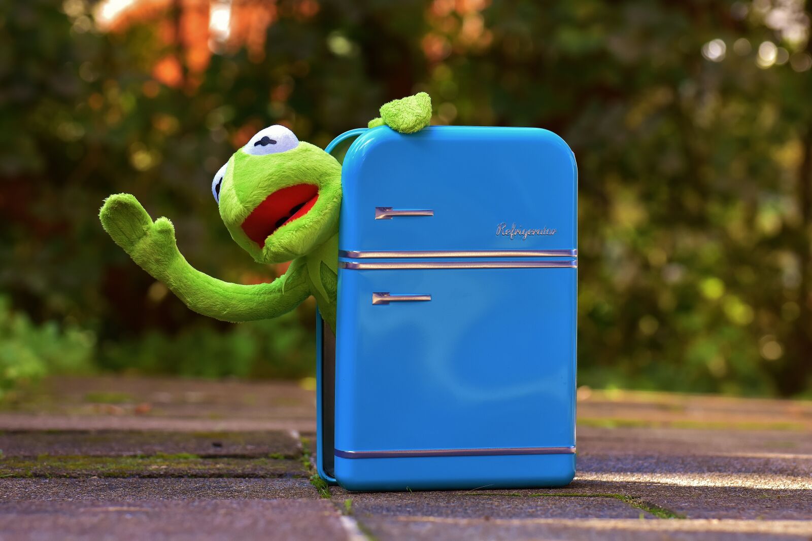Nikon D7200 sample photo. Kermit, frog, refrigerator photography