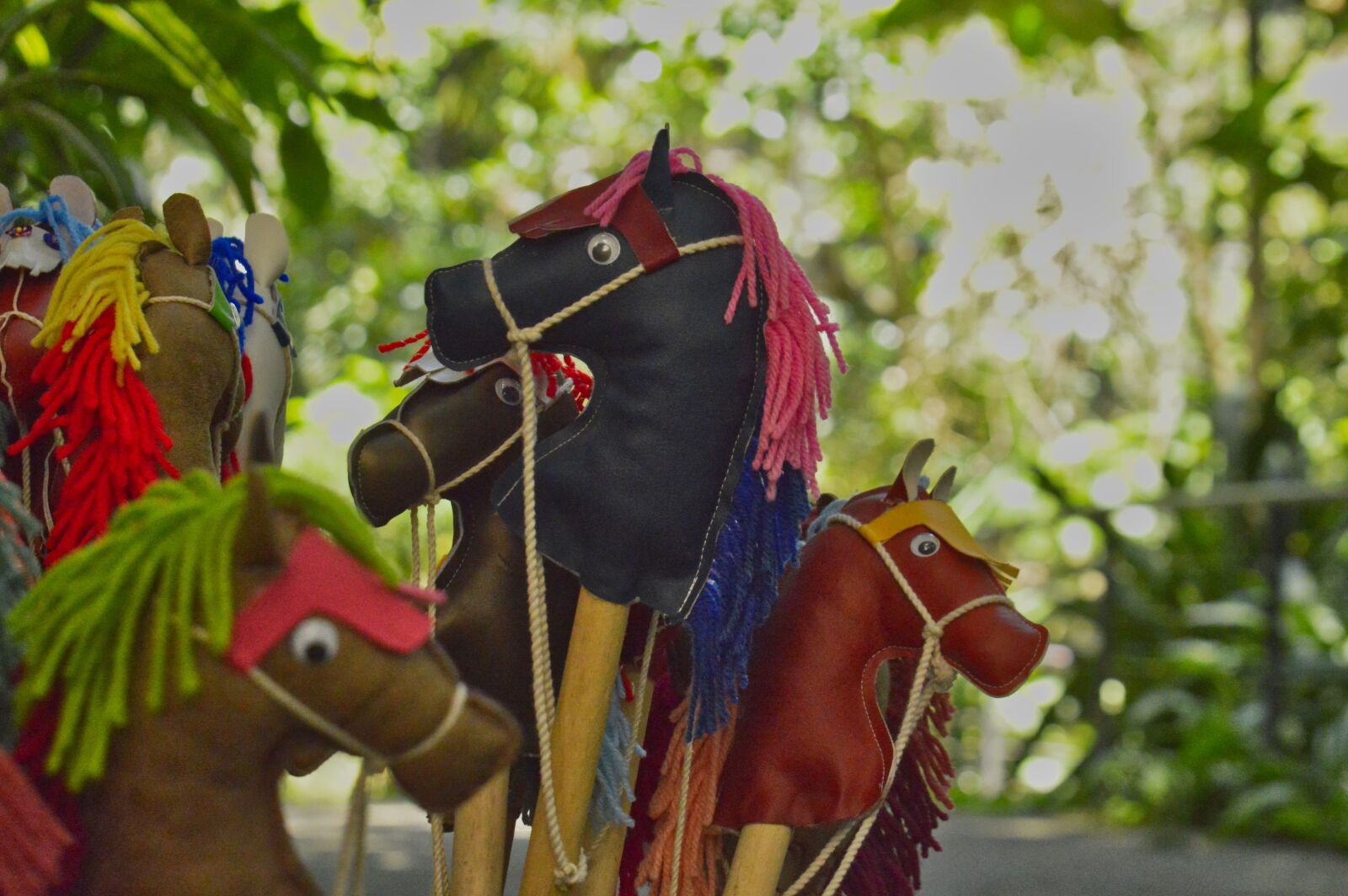 Nikon D3200 sample photo. Horse, costa rica, toy photography