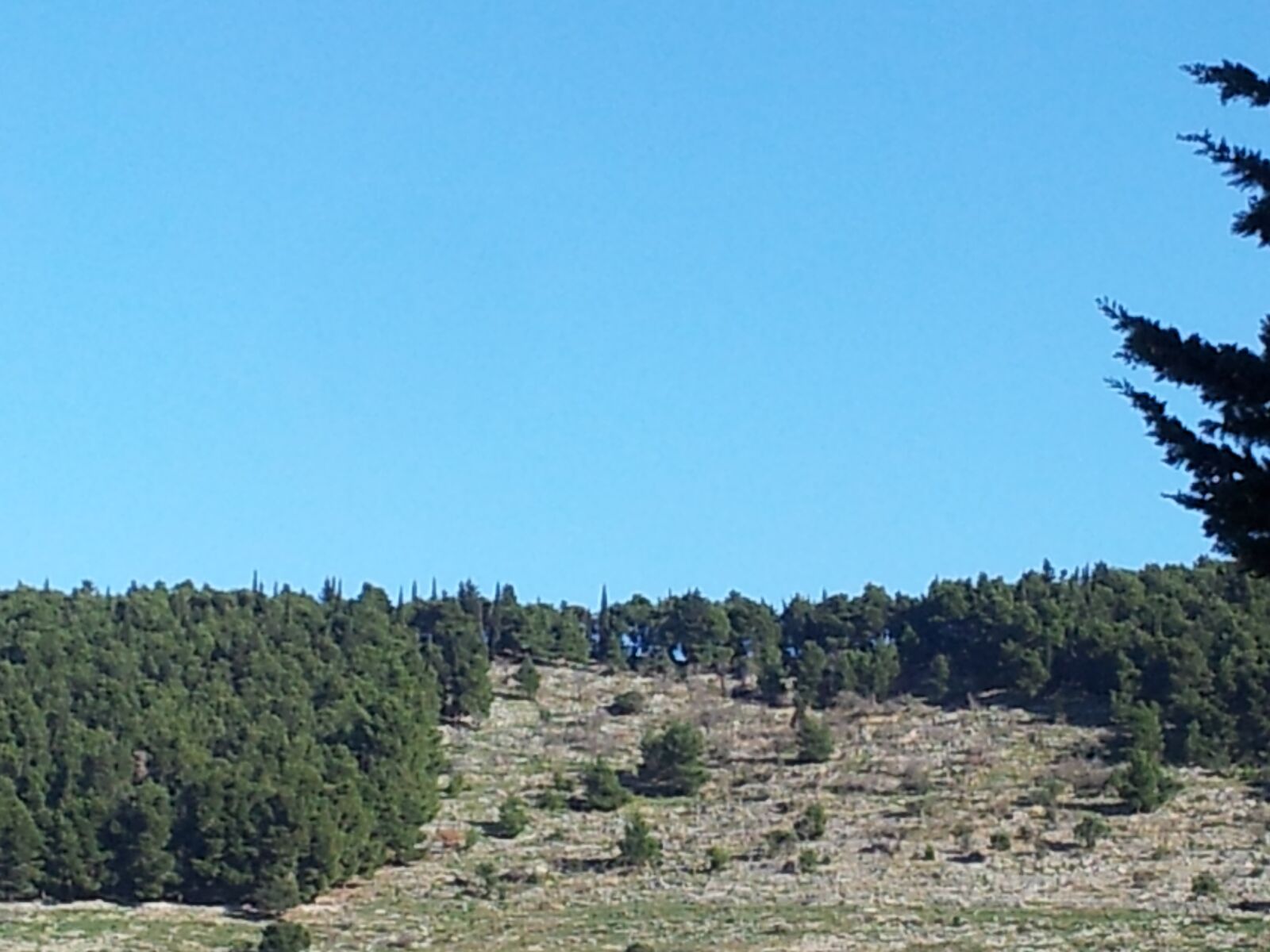 Samsung Galaxy S2 sample photo. Landscape, hill, forest photography