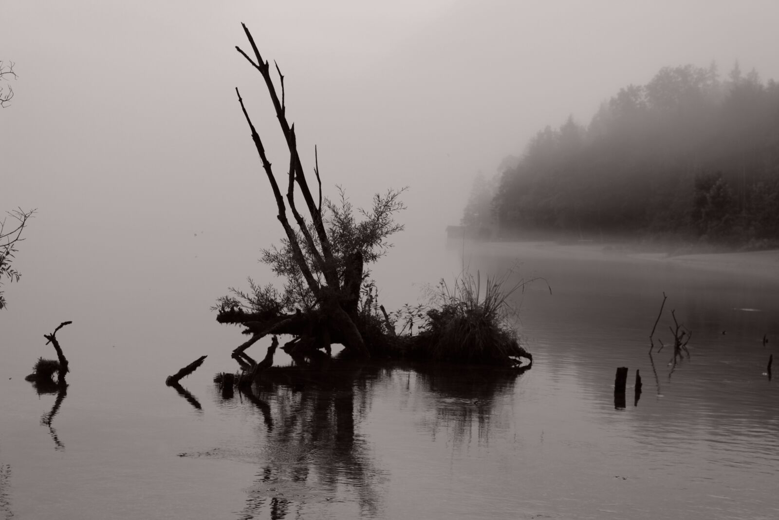 Canon EOS 100D (EOS Rebel SL1 / EOS Kiss X7) sample photo. Water, wood, lake photography