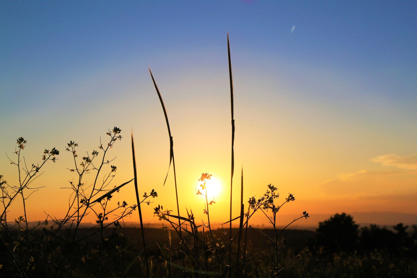 Canon EF 24-105mm F4L IS USM sample photo. Sunset, solar, nature photography