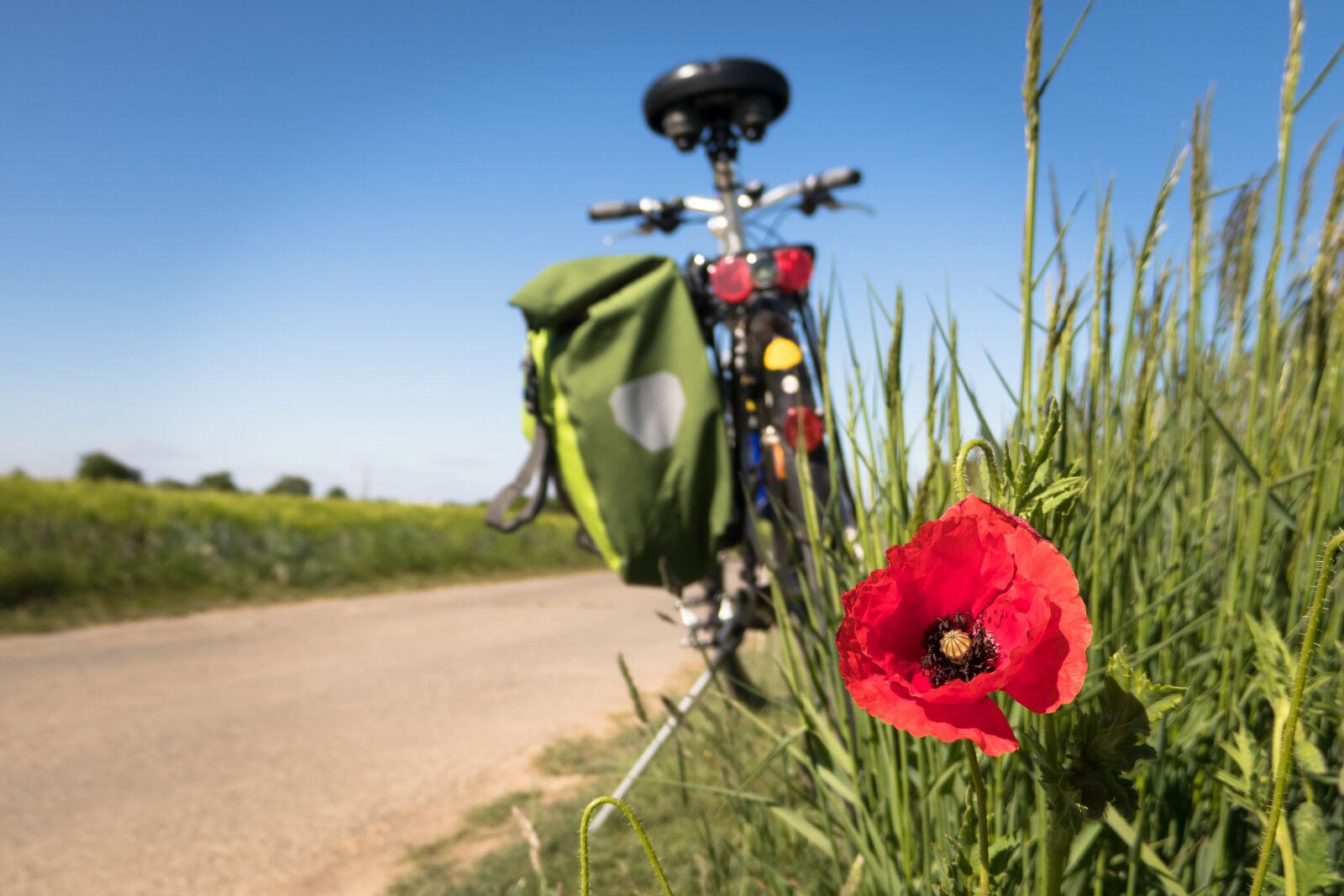 Canon PowerShot G3 X sample photo. Cycling, poppy, leisure photography