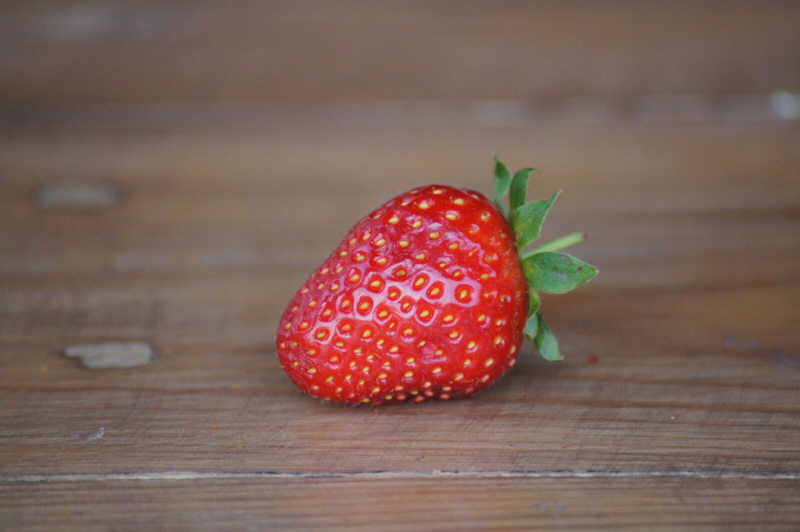 Sony SLT-A55 (SLT-A55V) sample photo. Strawberry, spring, fruit photography