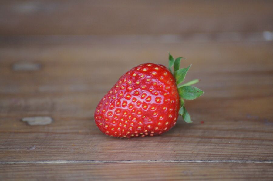 Strawberry spring. Strawberry spring