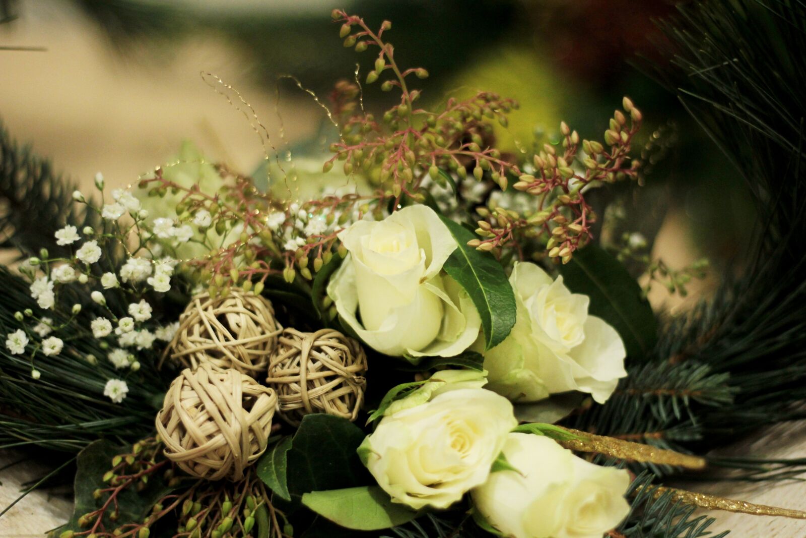 Canon EOS 600D (Rebel EOS T3i / EOS Kiss X5) + Canon EF 50mm F1.8 STM sample photo. Christmas, pine green, white photography