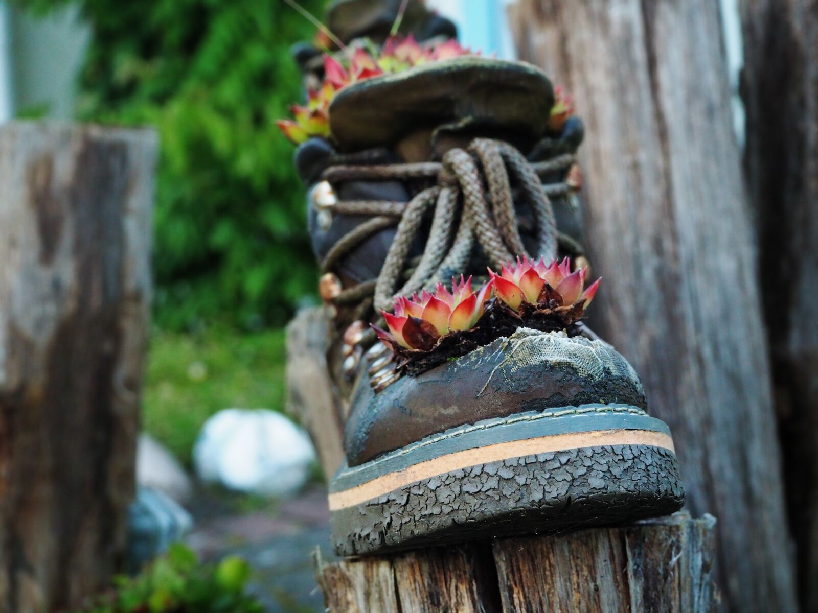 Olympus OM-D E-M10 II sample photo. Old, shoe, boots photography