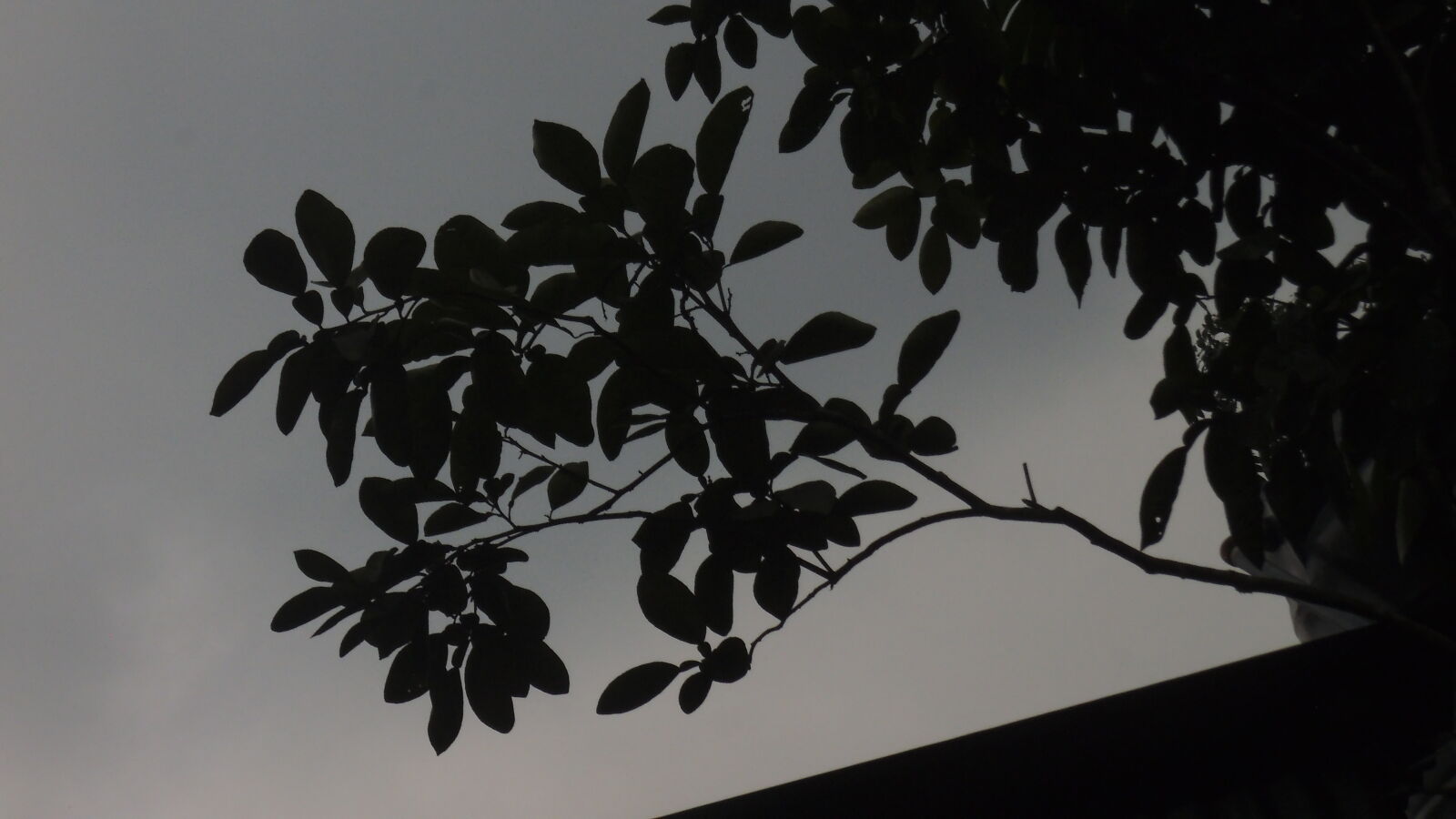 Fujifilm FinePix JZ250/JZ260 sample photo. Shadow, of, monsoon photography