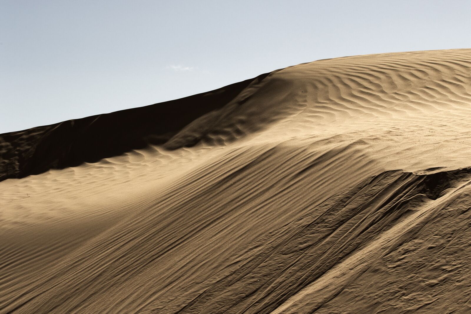 Canon EOS 7D Mark II + Canon EF 70-200mm F4L USM sample photo. Desert, barkhan, algeria photography
