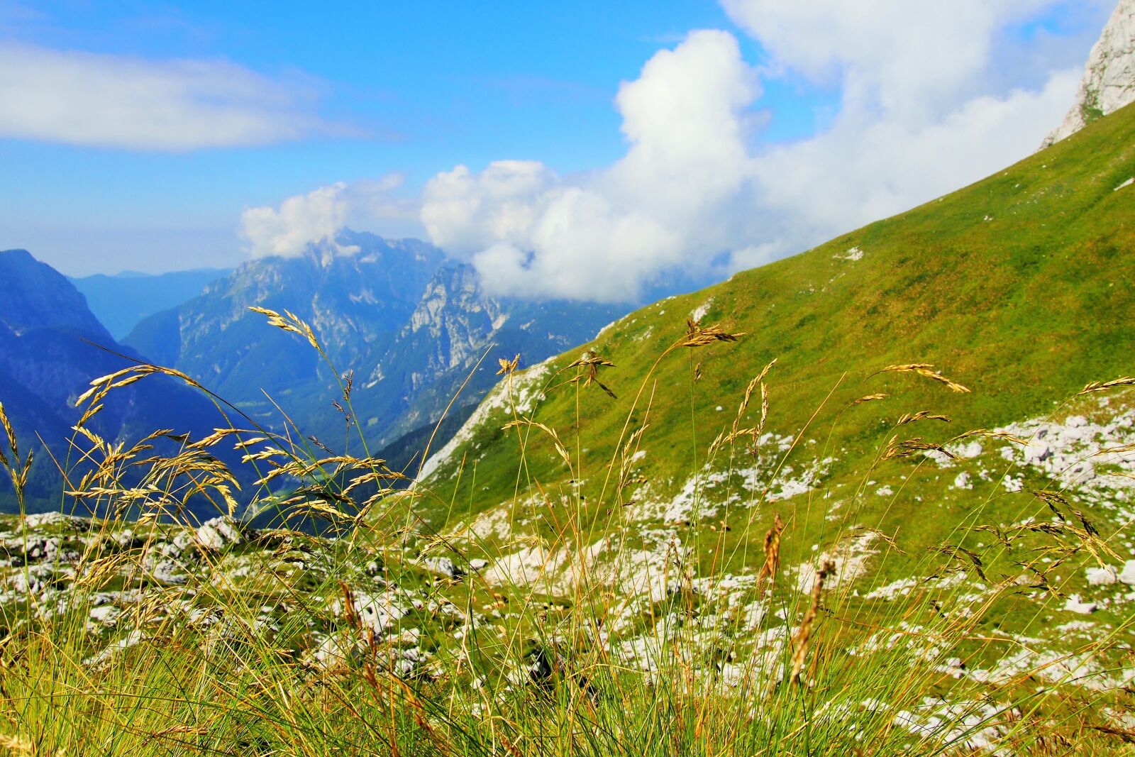 Olympus PEN E-PL6 sample photo. Nature, mountains, scenic photography