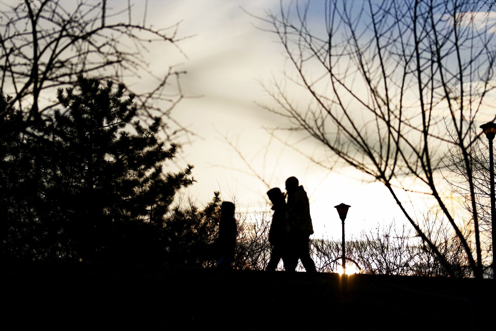 Nikon D5300 sample photo. Silhouettes, people, going photography