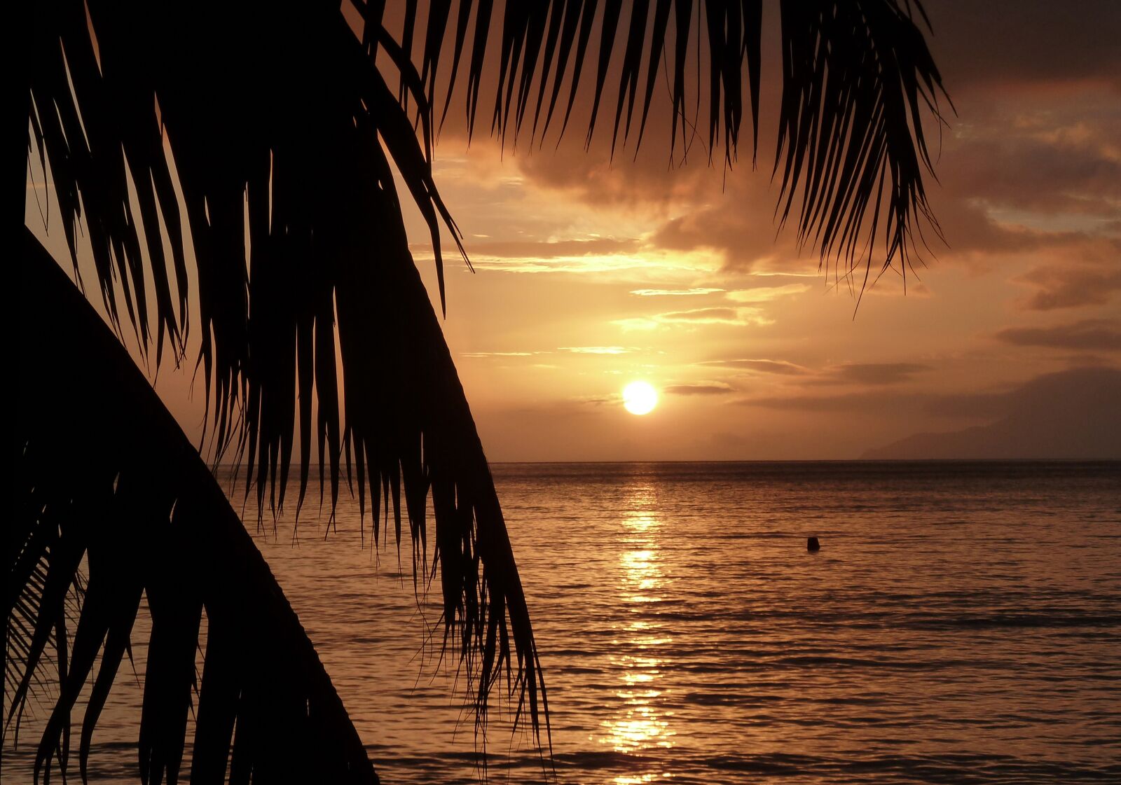 Panasonic Lumix DMC-ZS7 (Lumix DMC-TZ10) sample photo. Sunset, palm trees, beach photography