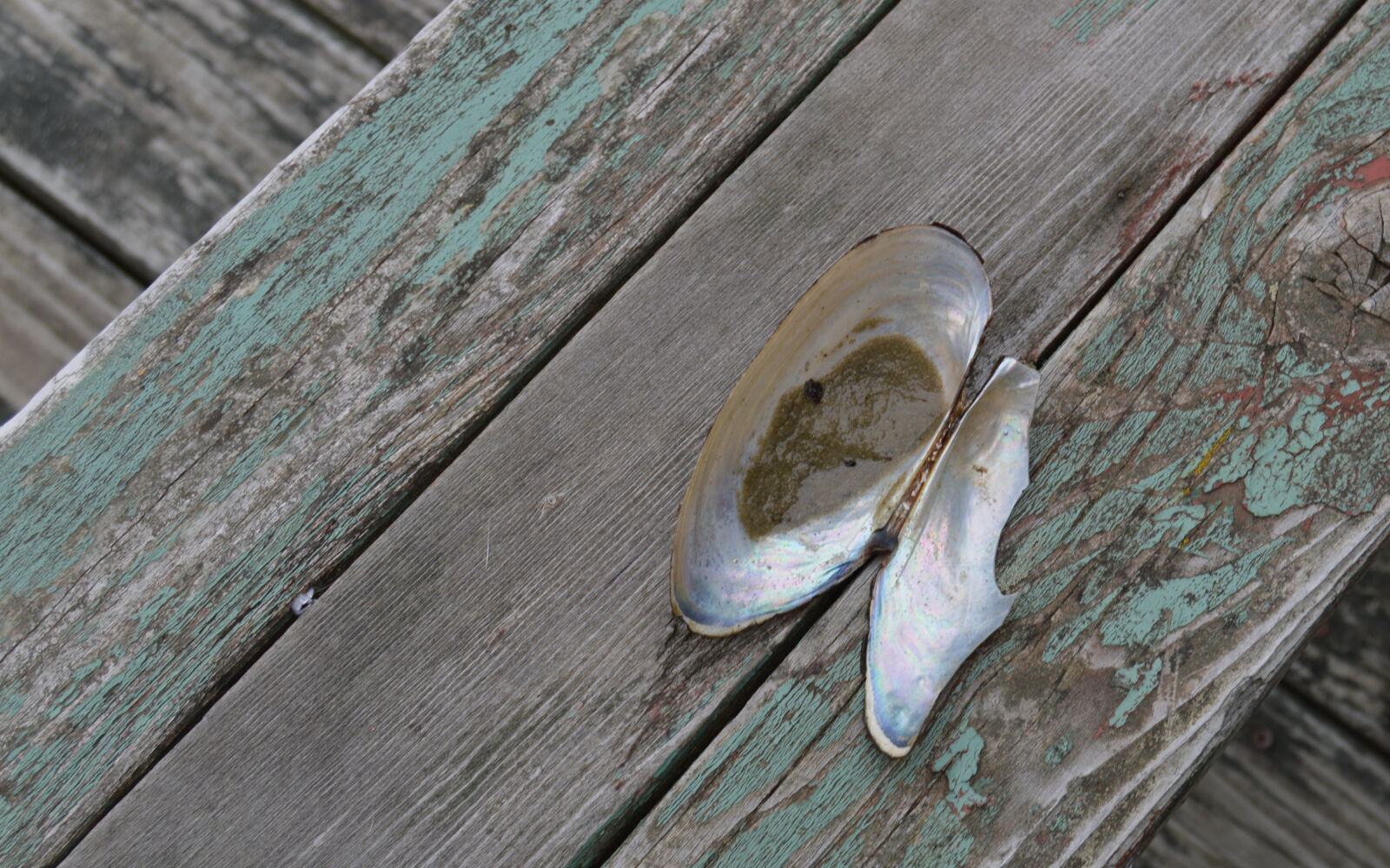 Nikon D3200 sample photo