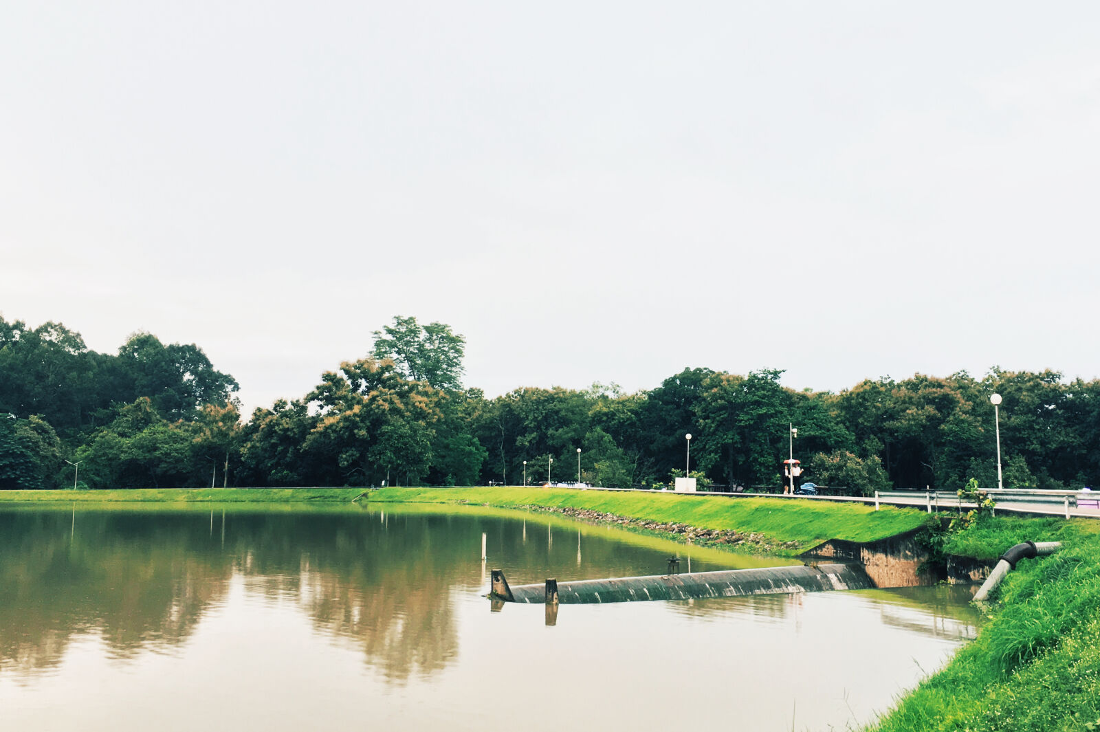 iPhone 6s Plus back camera 4.15mm f/2.2 sample photo. Angkaew, chaing, mai, chaing photography