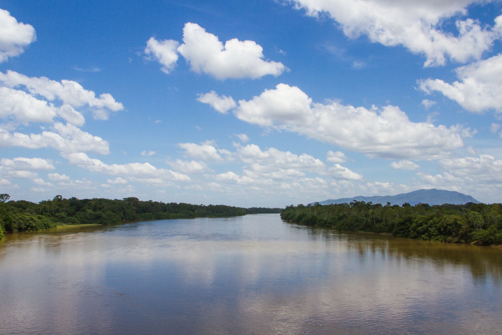 Canon EOS 7D sample photo. Rio branco, roraima, viruá photography
