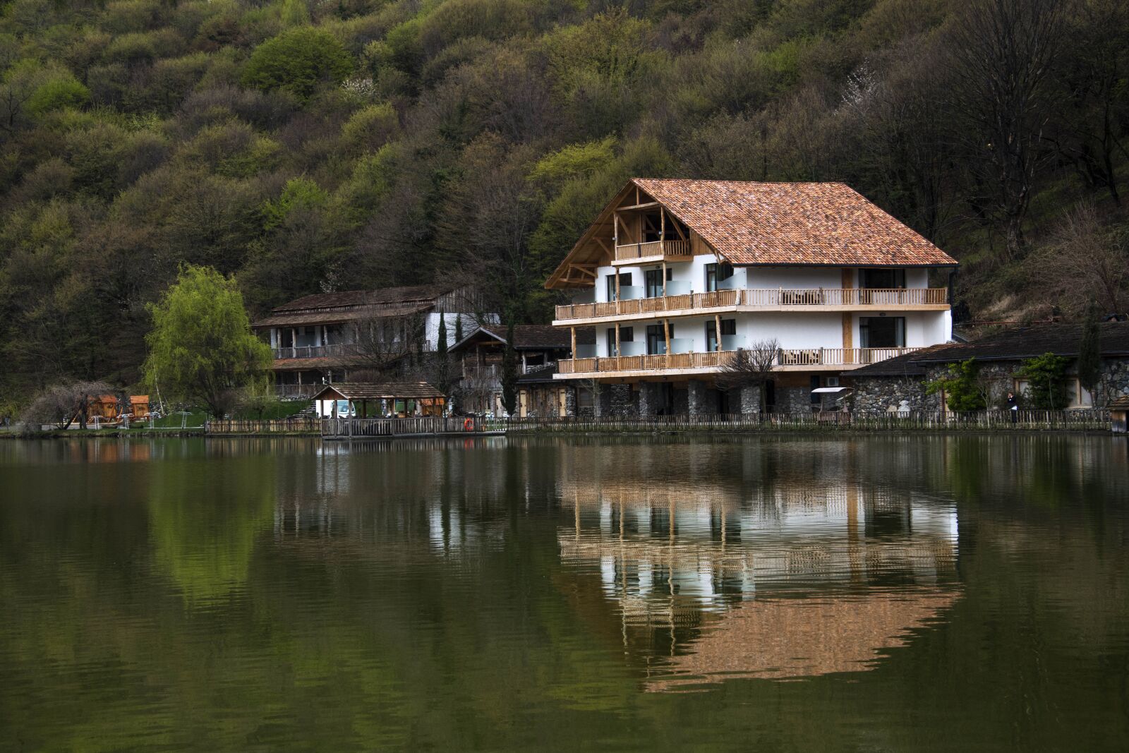 Nikon D850 sample photo. La pota, lake, in photography