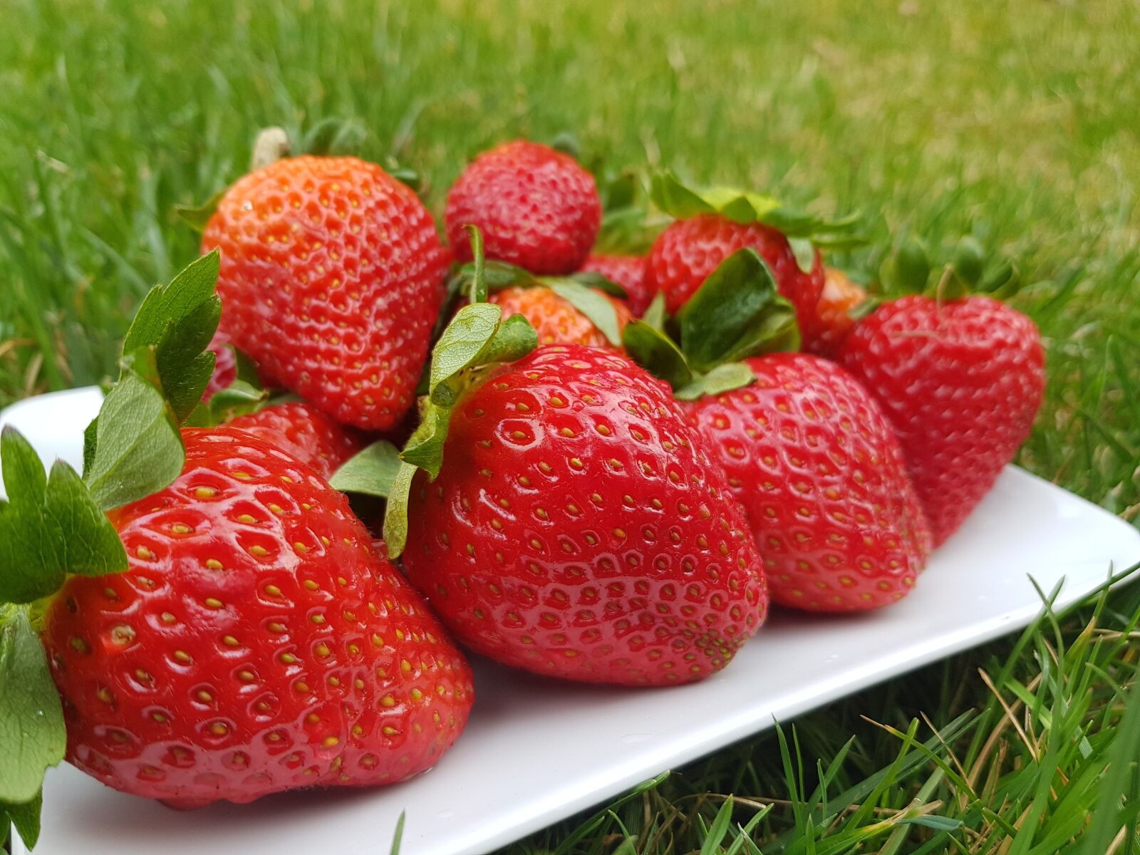 Samsung Galaxy S8 sample photo. Strawberry, fruit, food photography