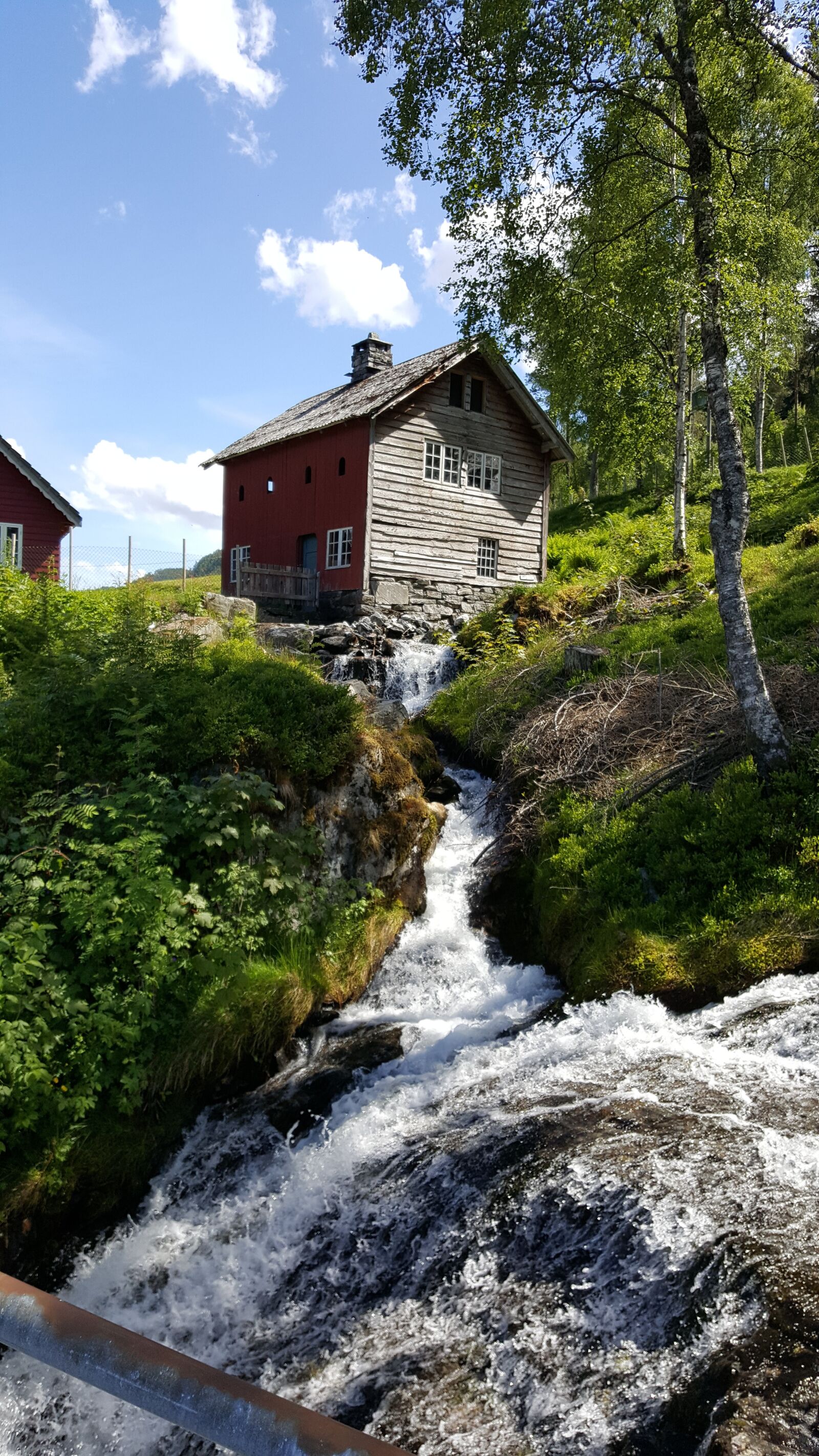 Samsung Galaxy S6 sample photo. Mill, amp shipping, norway photography