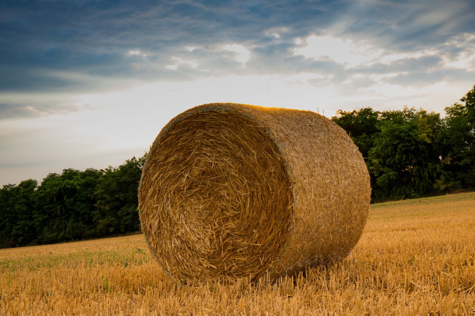 Canon EF 24-70mm F4L IS USM sample photo. Straw, agriculture, harvest photography