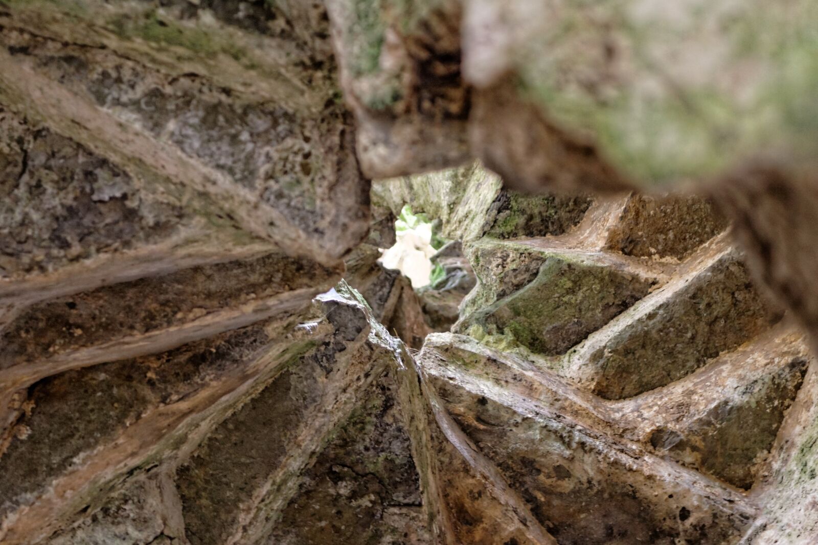 Canon EOS 20D sample photo. Castle, carew, stone photography
