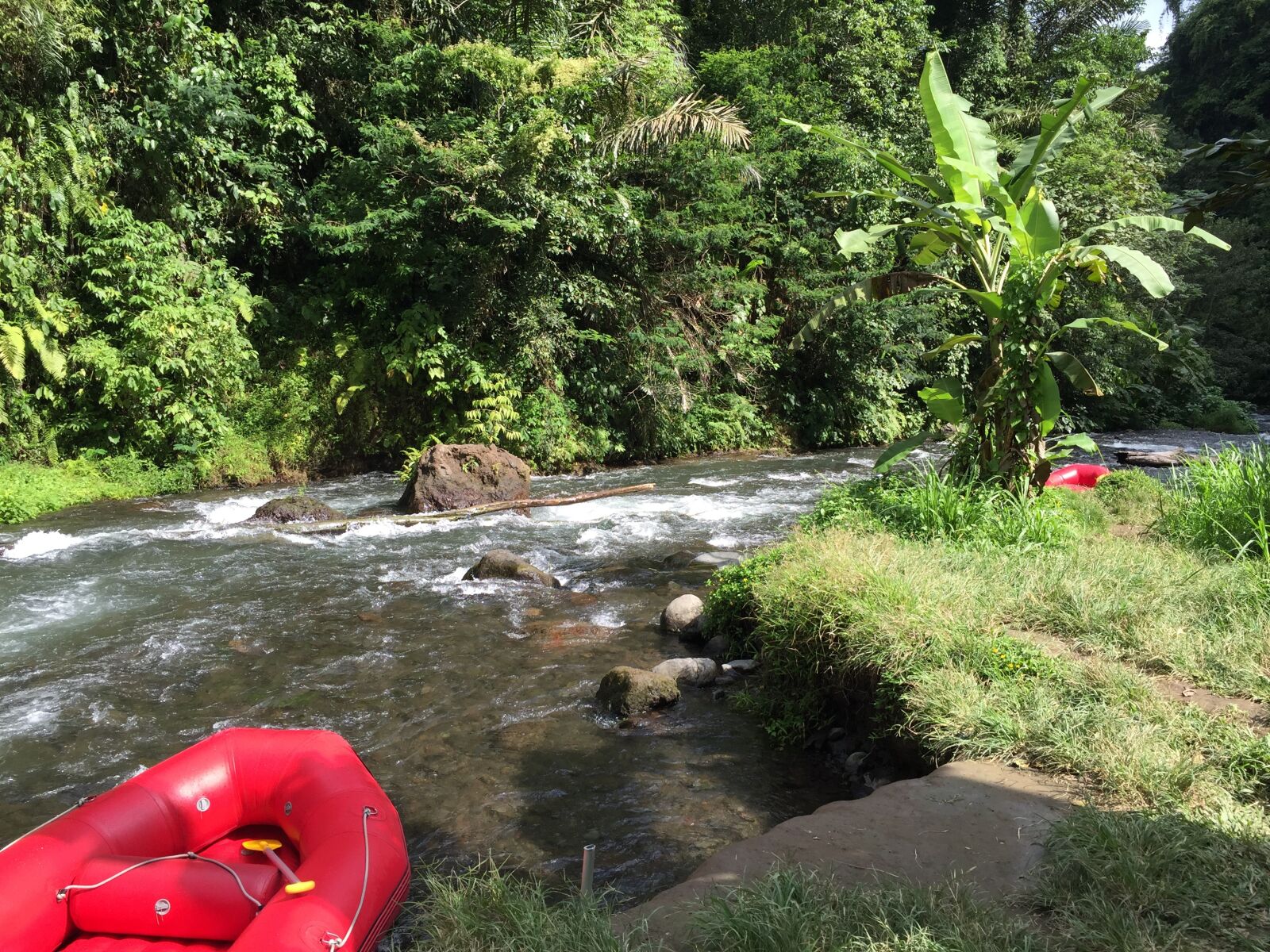 Apple iPhone 6 sample photo. Bali, asia, travel photography