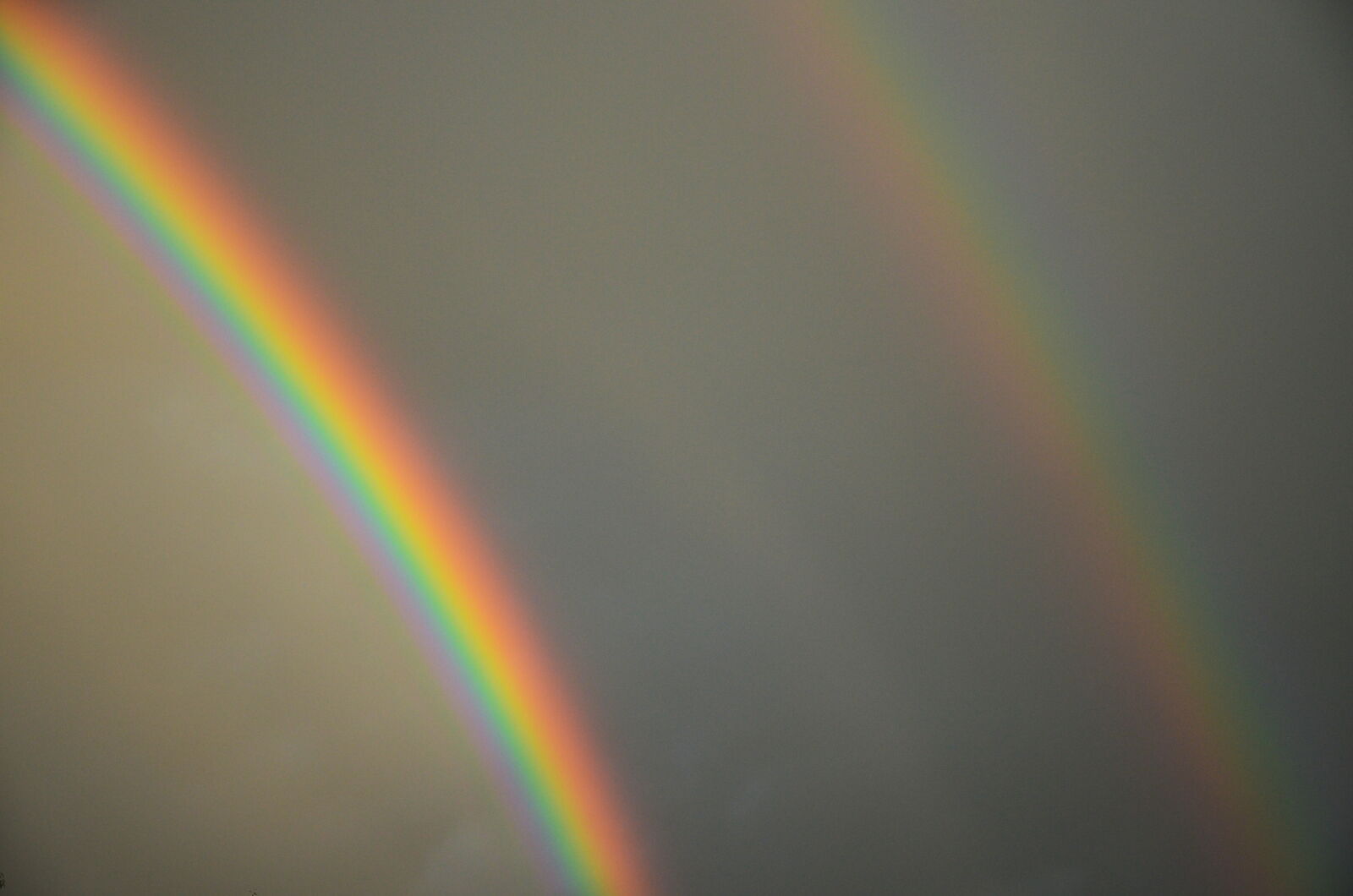 Nikon D5100 sample photo