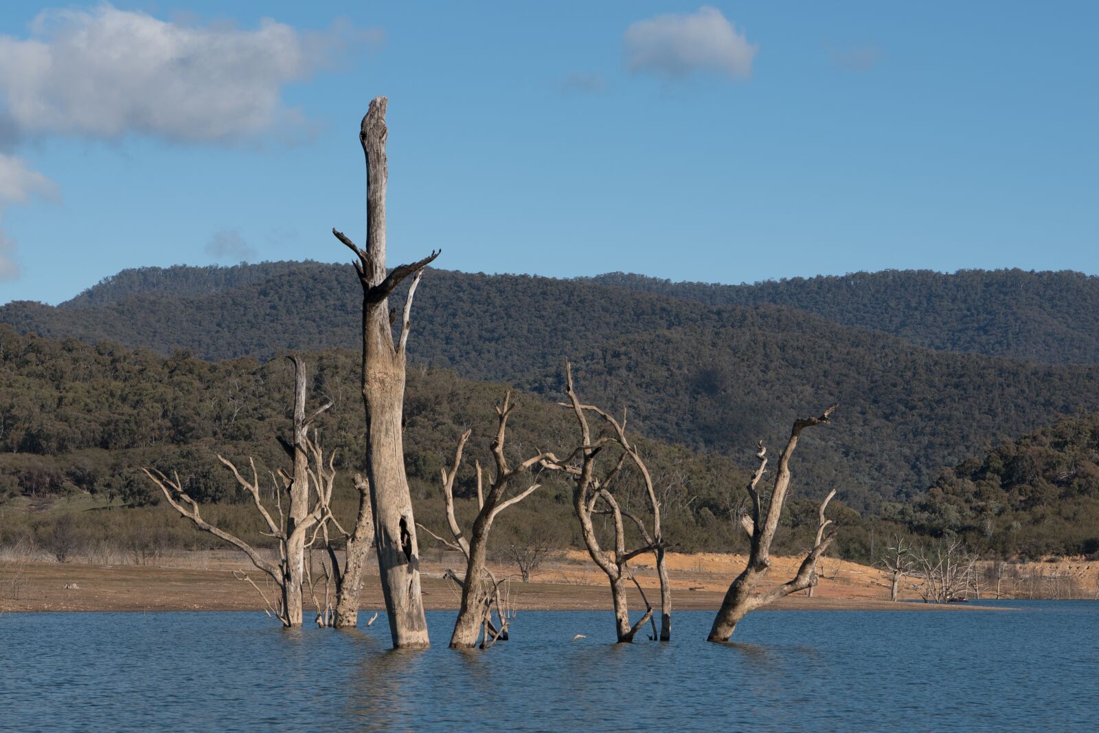 Nikon D750 sample photo. Lake, dead trees, landscape photography
