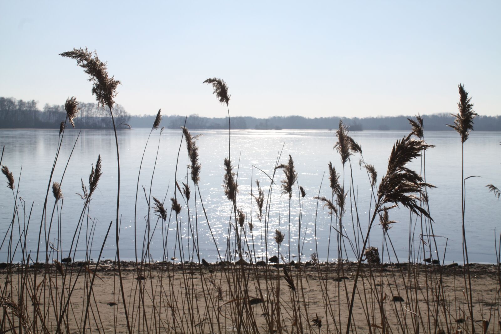 Canon EOS 450D (EOS Rebel XSi / EOS Kiss X2) sample photo. Waters, nature, sky photography