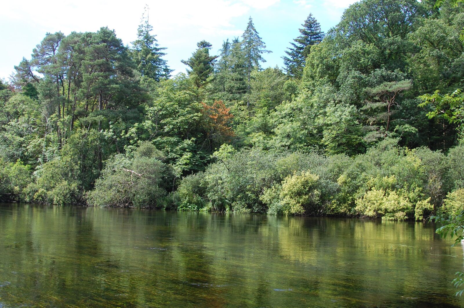 Nikon D40 sample photo. Green, river, ireland photography