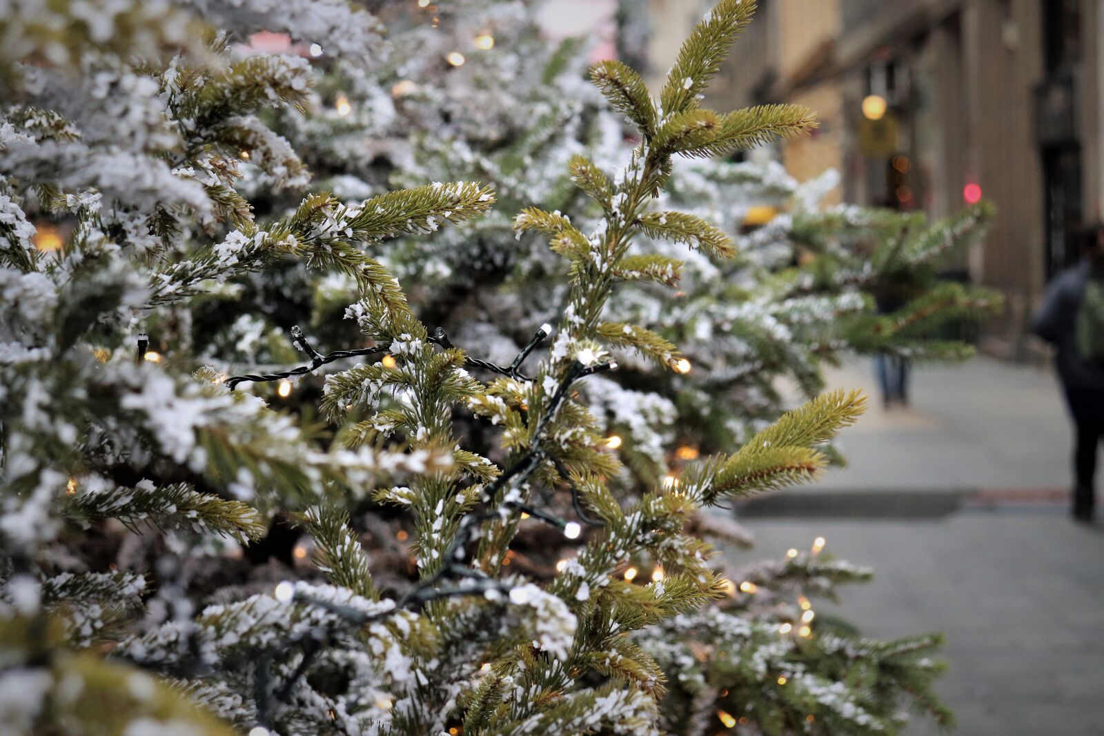 Canon EOS 200D (EOS Rebel SL2 / EOS Kiss X9) sample photo. Christmas tree, lights, street photography