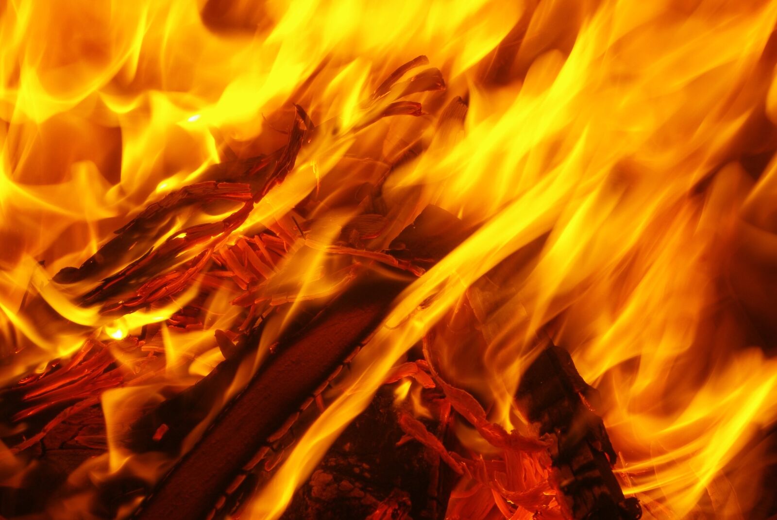 Pentax K-m (K2000) sample photo. Fire, flame, embers photography