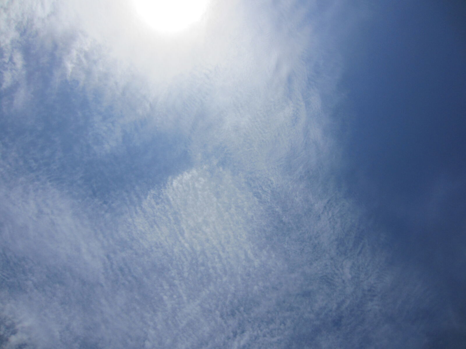 Canon PowerShot ELPH 300 HS (IXUS 220 HS / IXY 410F) sample photo. Bianco, blu, blue, celo photography
