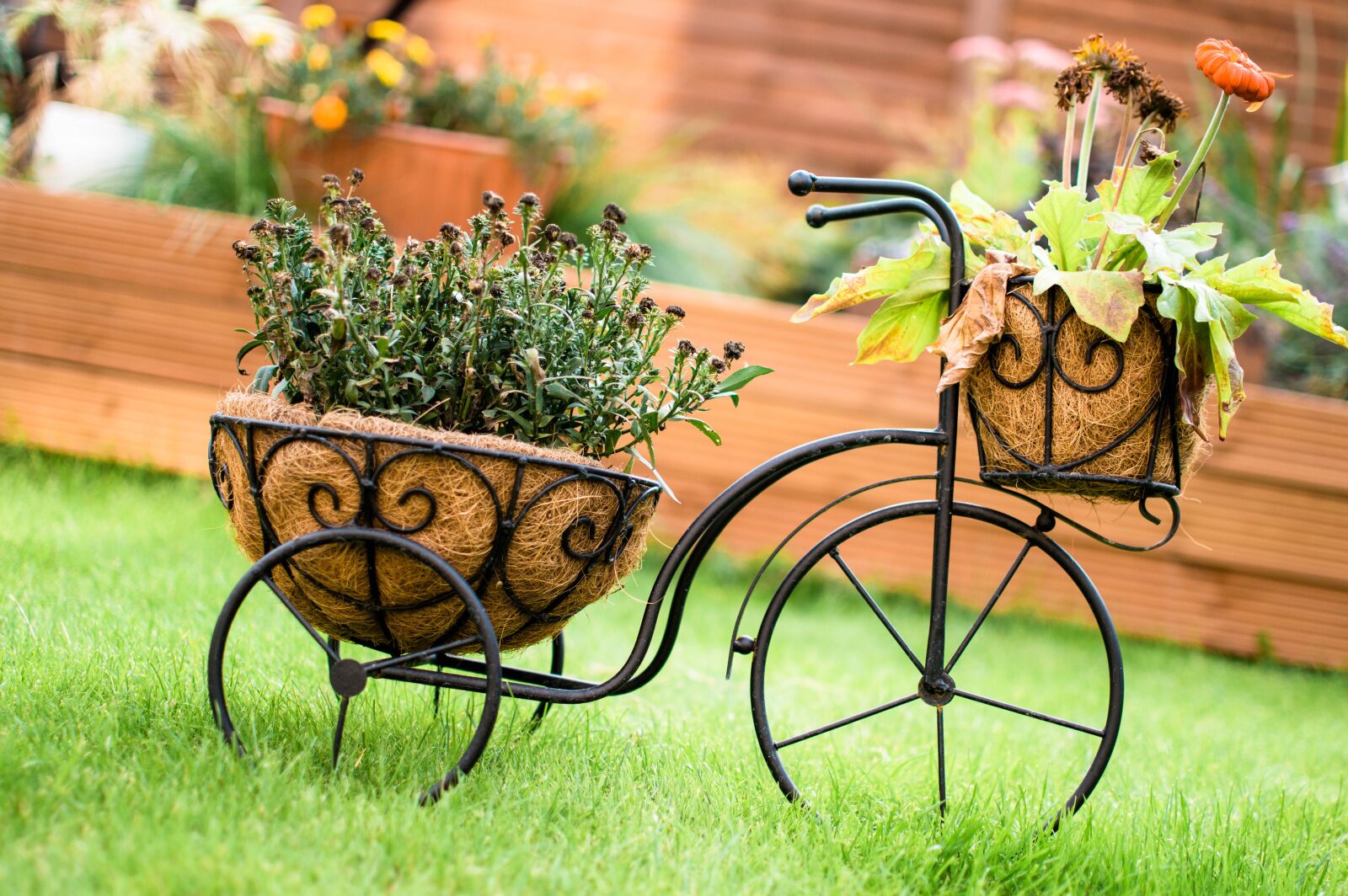 Nikon D3200 sample photo. Bicycle, flowers, watercolor photography