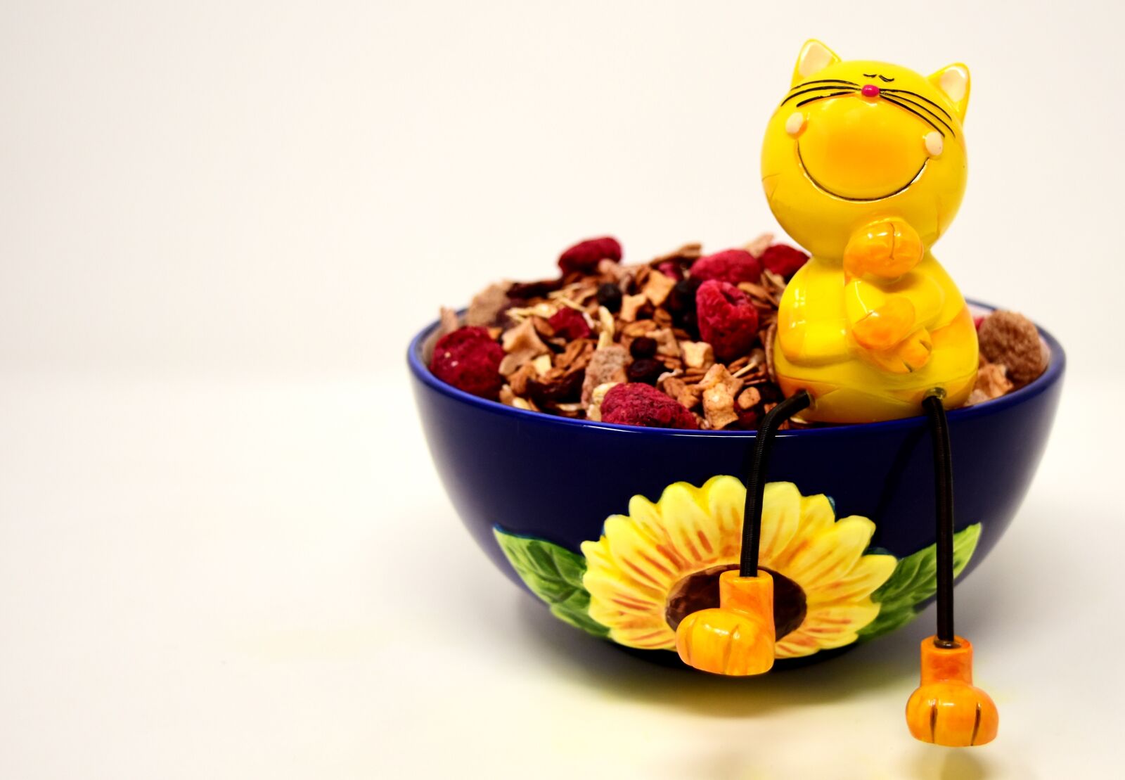 Nikon D7200 sample photo. Muesli, bowl, cat photography