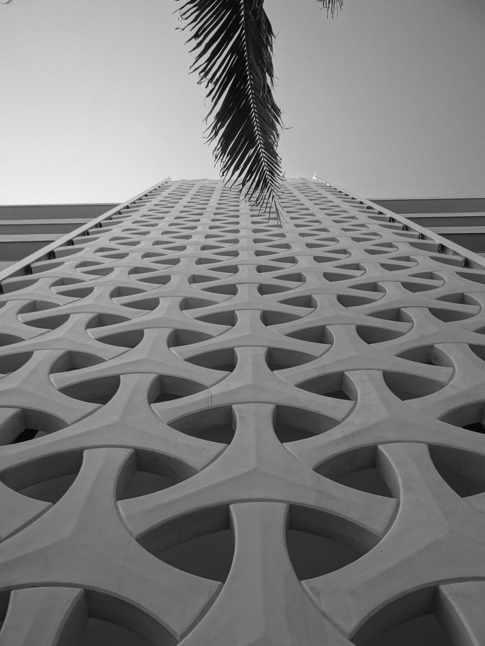 Sony DSC-HX200V sample photo. Black, white, man photography