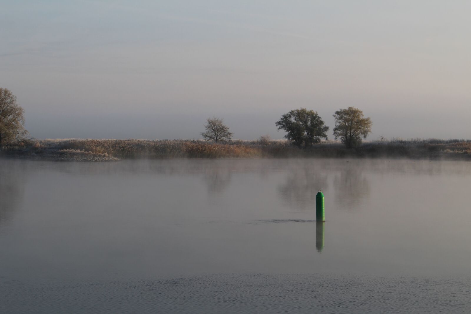 Canon EOS 100D (EOS Rebel SL1 / EOS Kiss X7) sample photo. Fog, trees, elbe photography