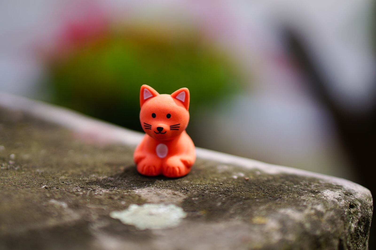 E 50mm F1.8 OSS sample photo. Cat, toys, figure photography