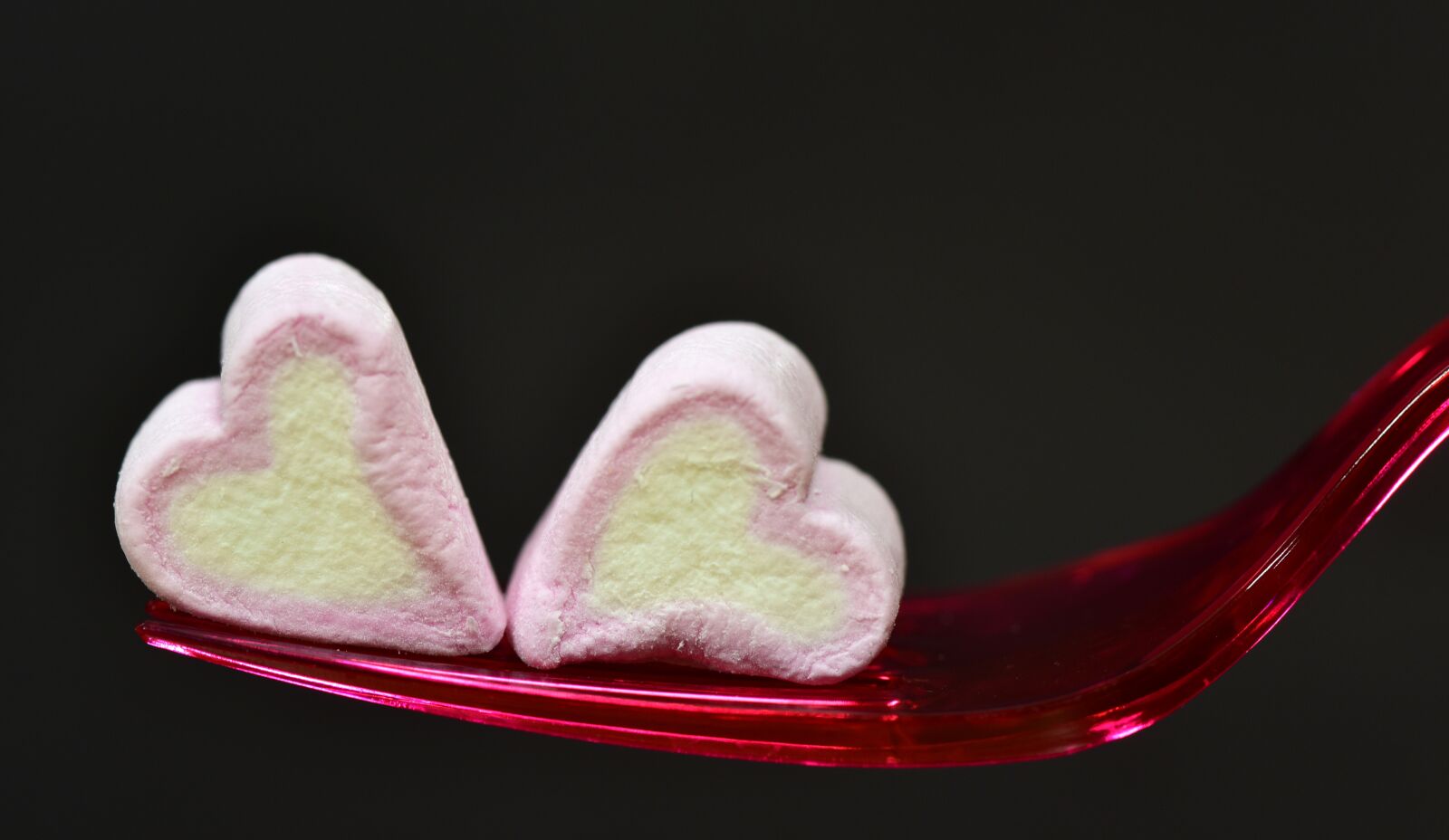 Nikon D750 sample photo. Herzchen, heart, love photography