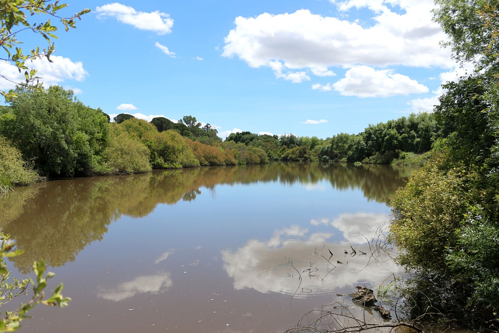 Canon EOS 650D (EOS Rebel T4i / EOS Kiss X6i) sample photo. Water, nature, lake photography
