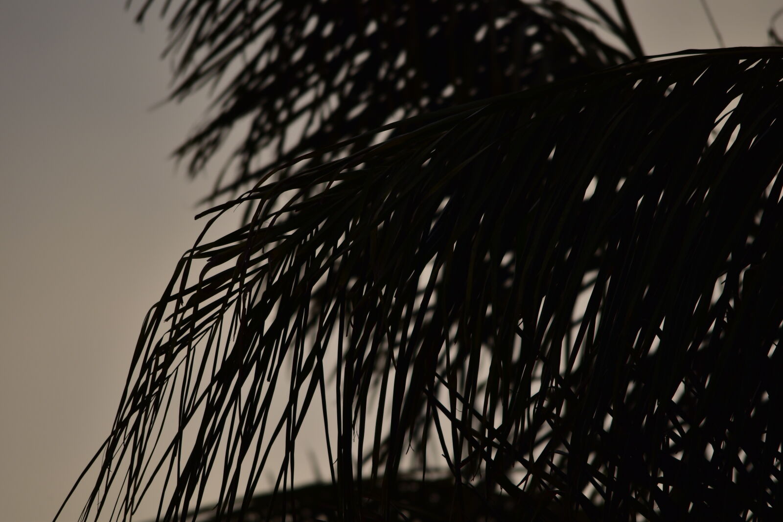 Nikon D3500 sample photo
