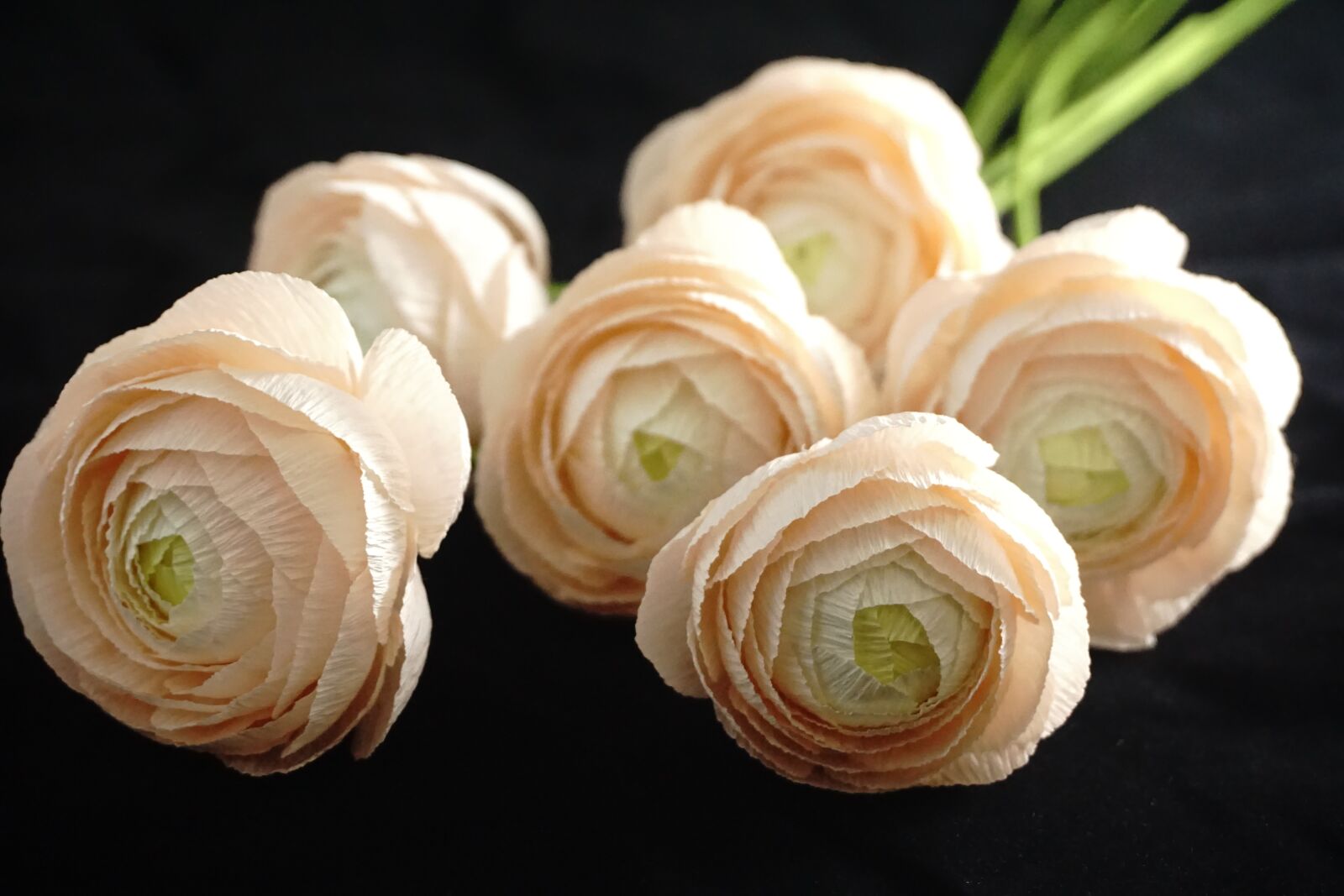 Sony E 16-50mm F3.5-5.6 PZ OSS sample photo. Paper flowers, crepe paper photography