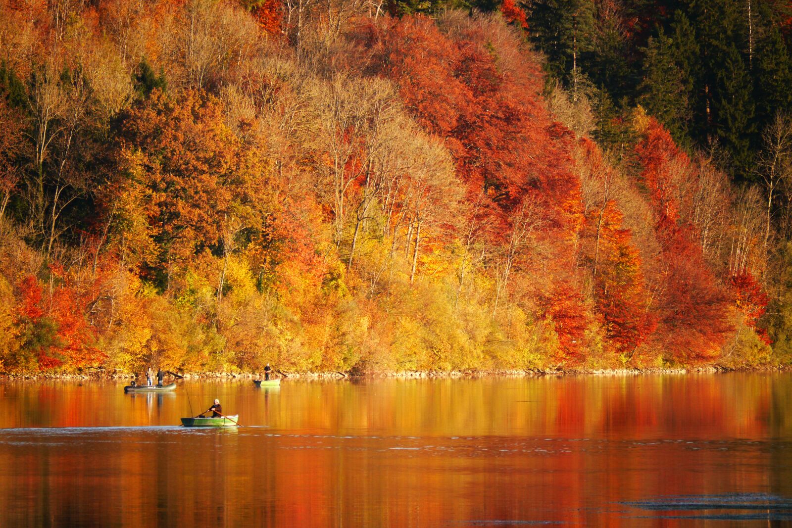 Panasonic Lumix DMC-G5 sample photo. Autumn, angler, boat photography